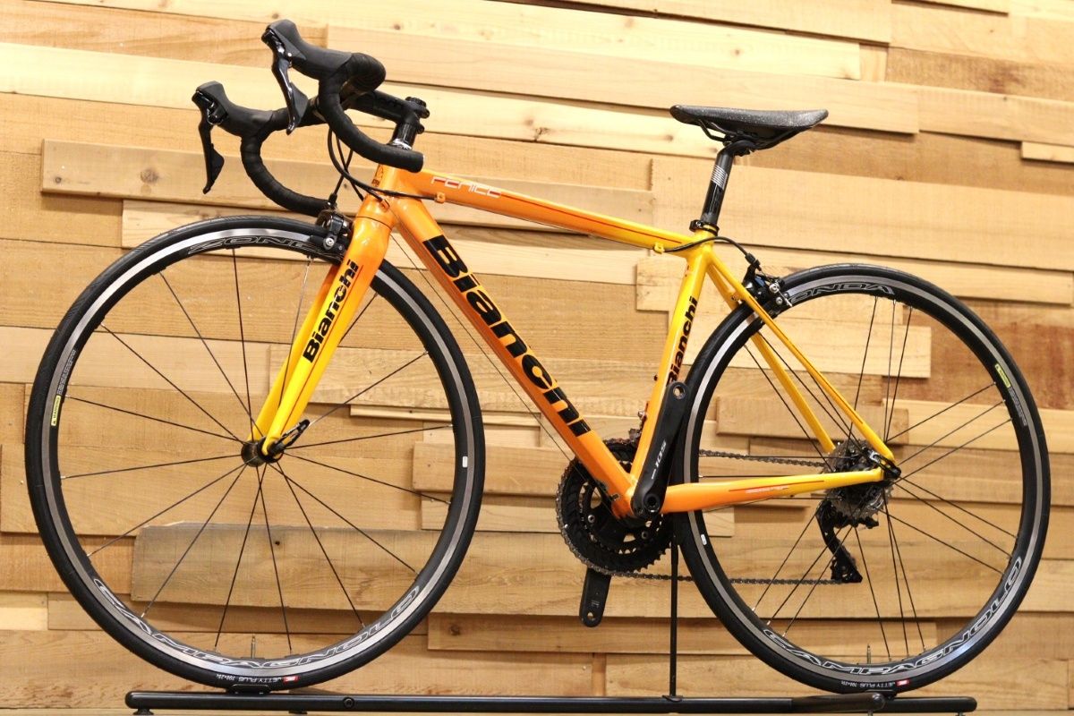 Bianchi Bianchi FENICE ELITE 105 50サイズ FENICE ELITE 105 50