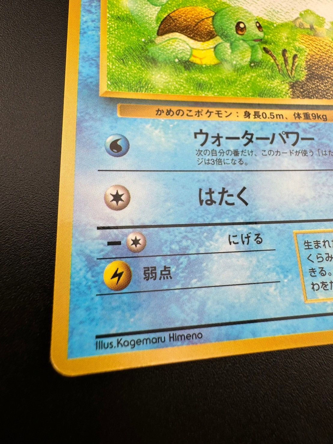 楽天市場】【中古】ゼニガメ LV.15 ポケモンカードゲーム 旧裏面