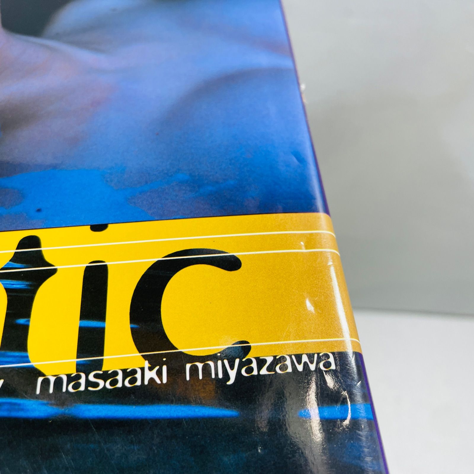 小池栄子写真集『Lunatic』直筆サイン 小池栄子写真集 Lunatic - メルカリ