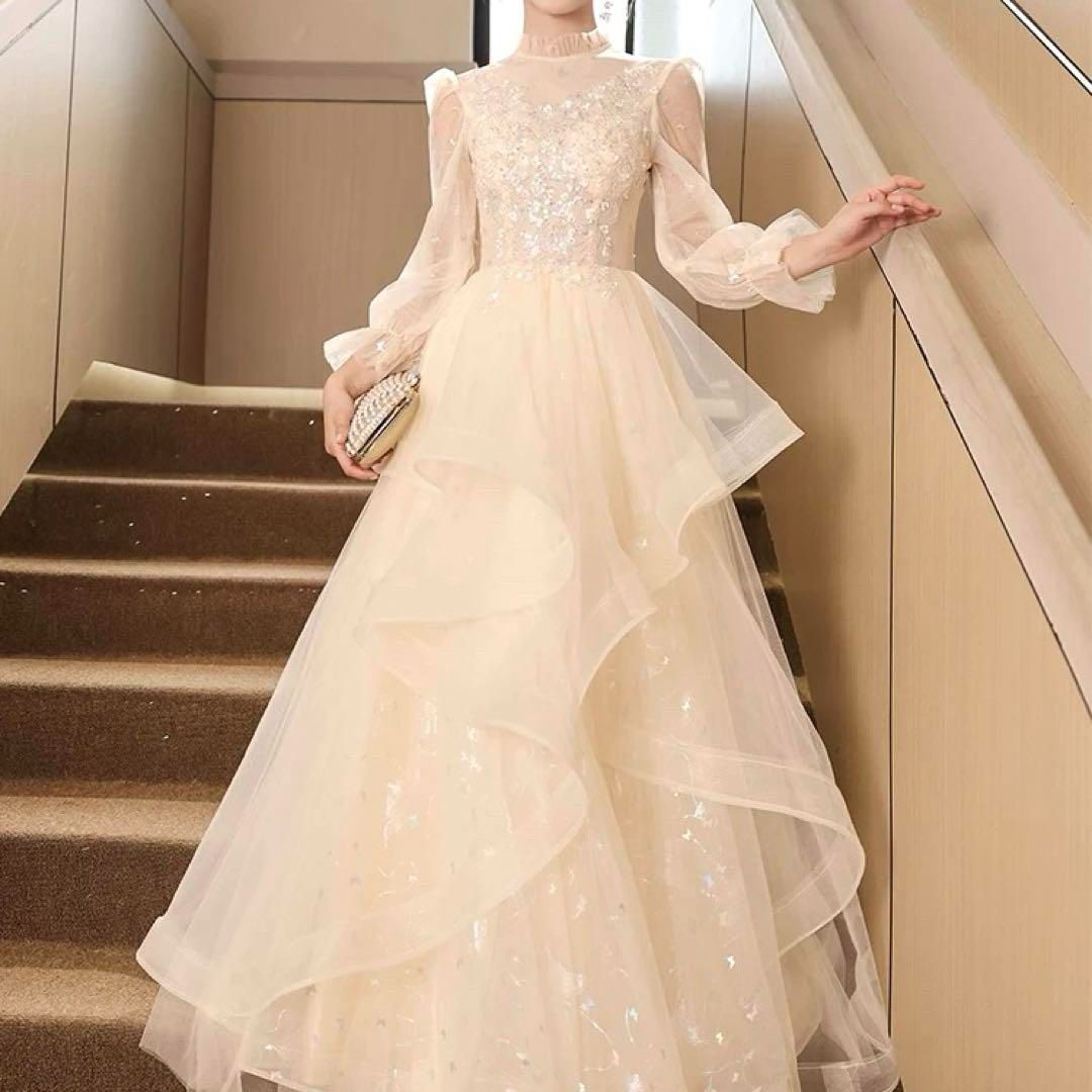 オーロラの蝶にフリルが 長袖のイブニングドレス?.?