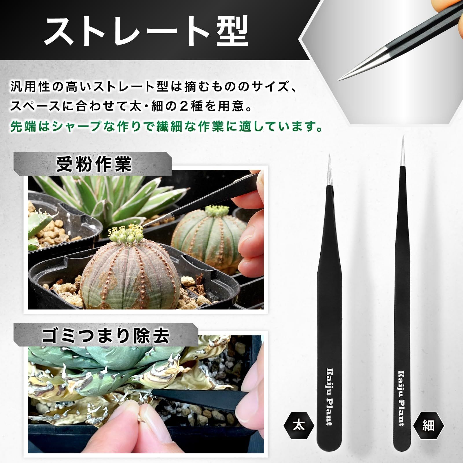 新着商品】美しく仕上げる 多肉 植替え アガベ 根かき棒