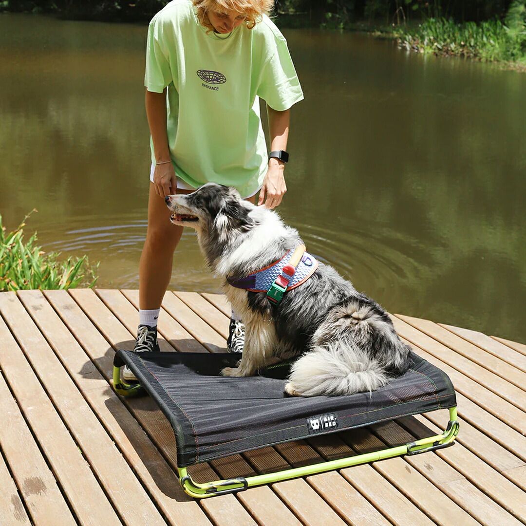 zee.dog ジードッグ