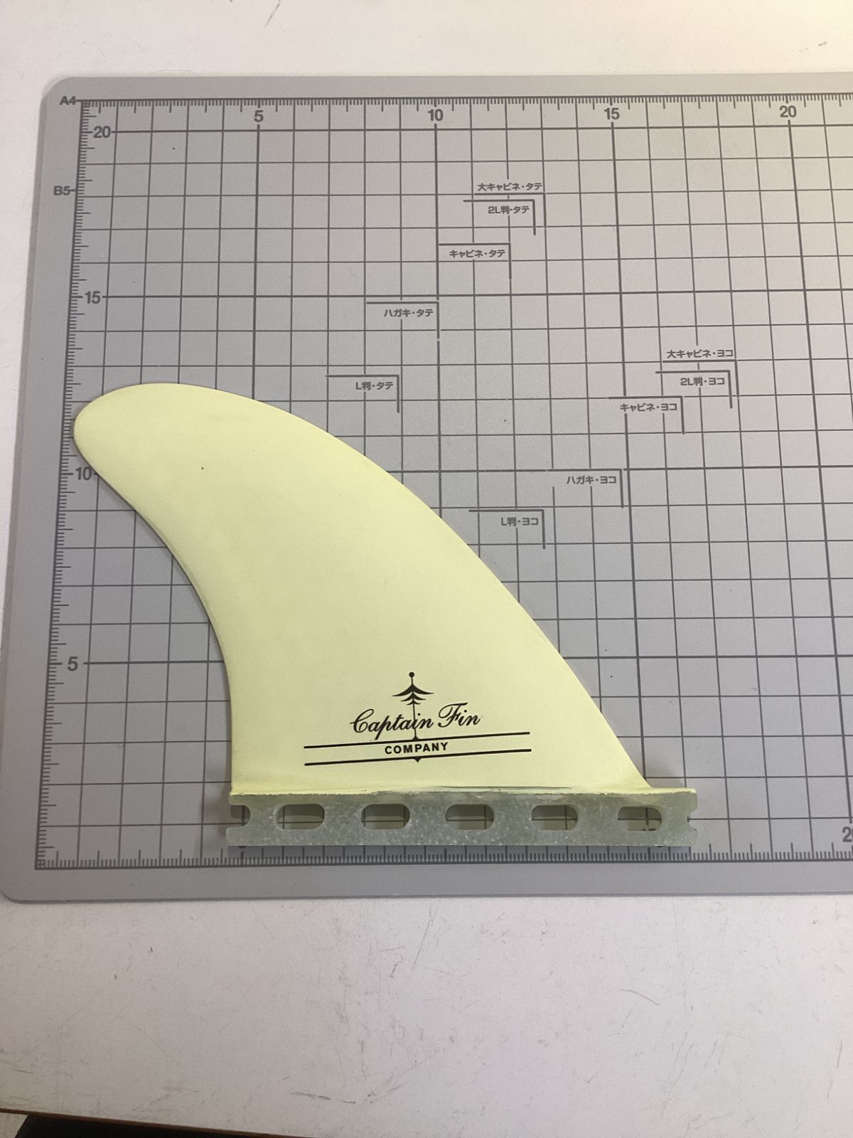 フィン Lサイズ