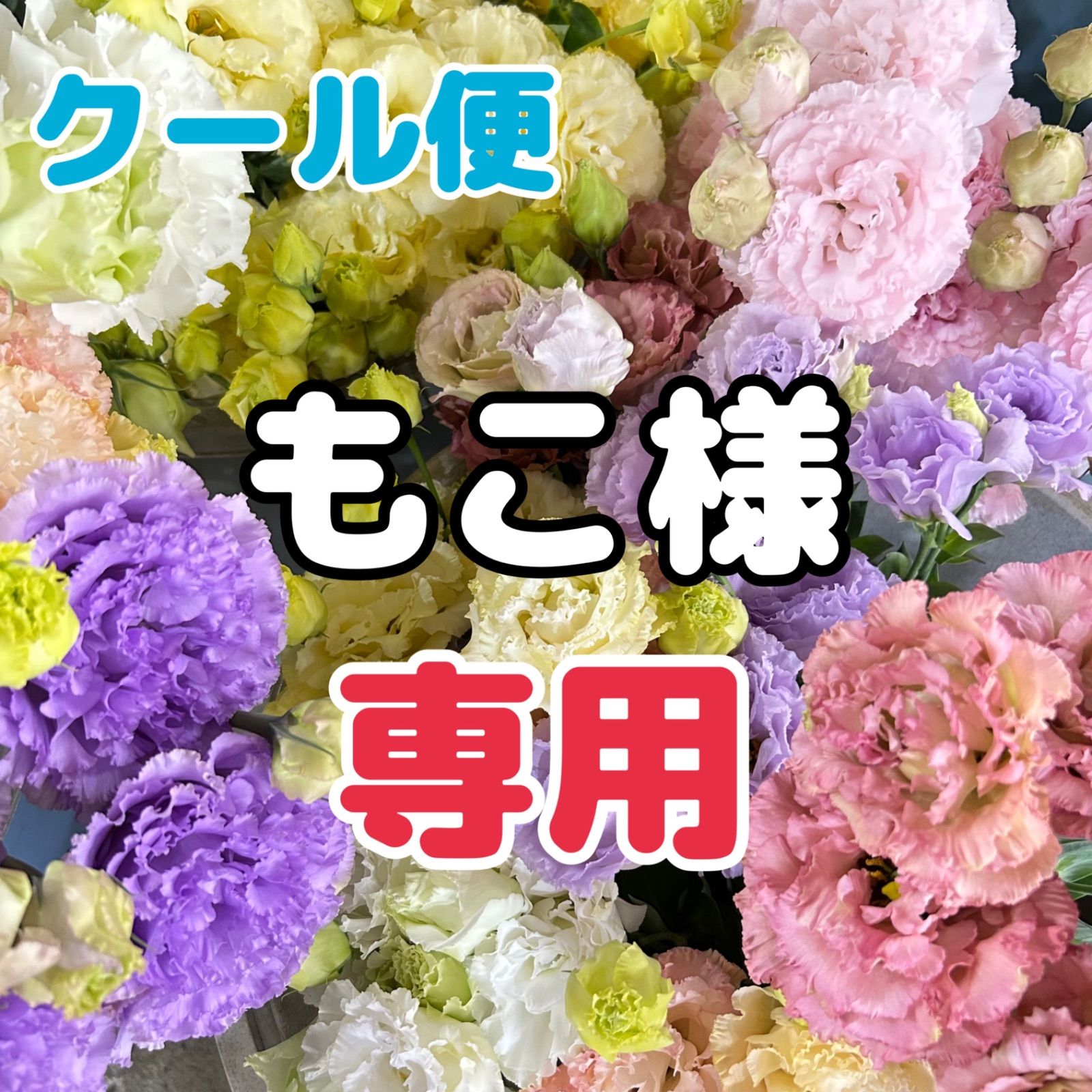もこ 様 専用 もこ様 専用 もこ様 専用ページ もこ様♡専用ページ もこ