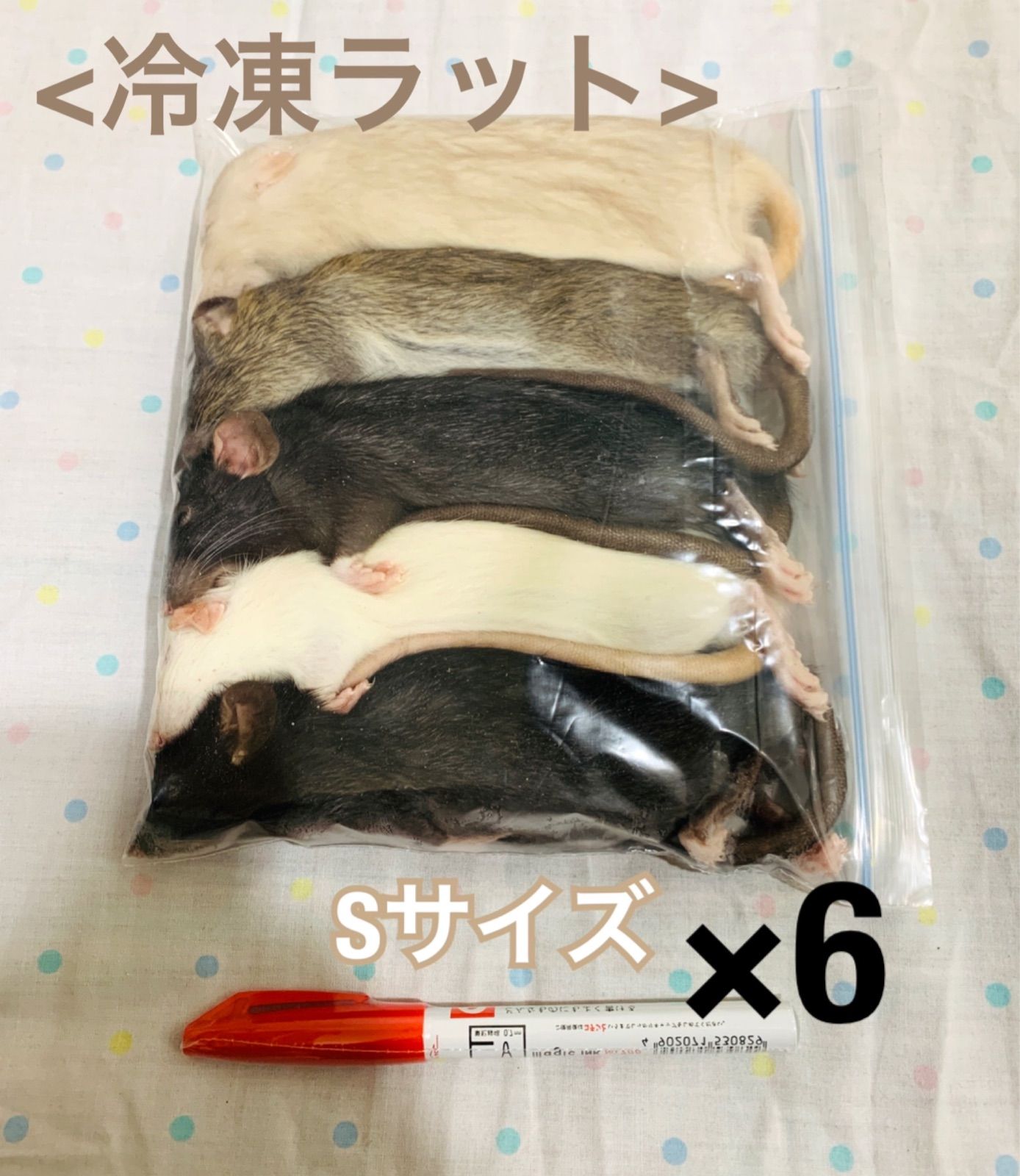 Sサイズ 冷凍ラット 6袋