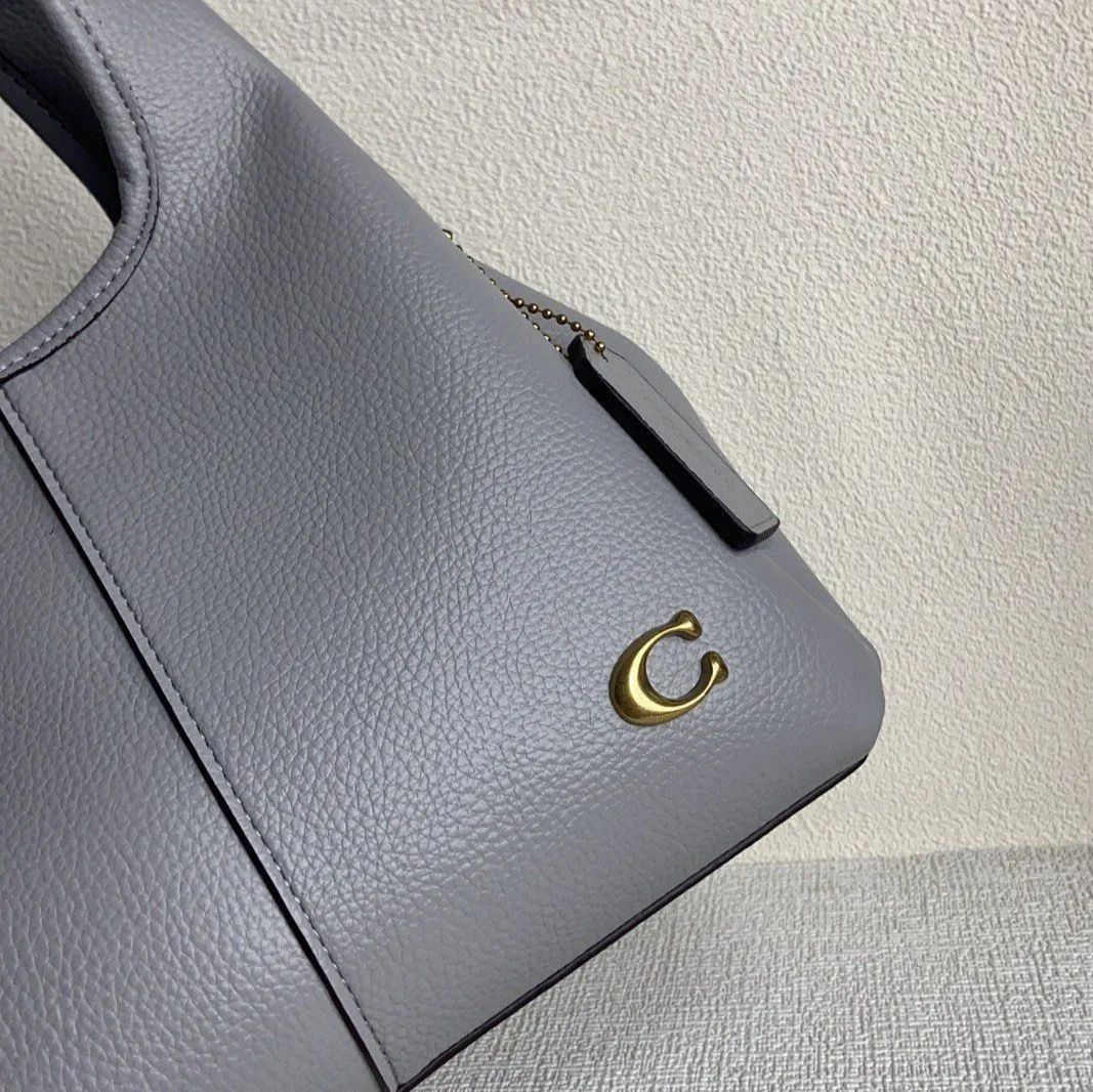 新品COACH ラナ ショルダーバッグ 23 ハンドバッグクロスボディ