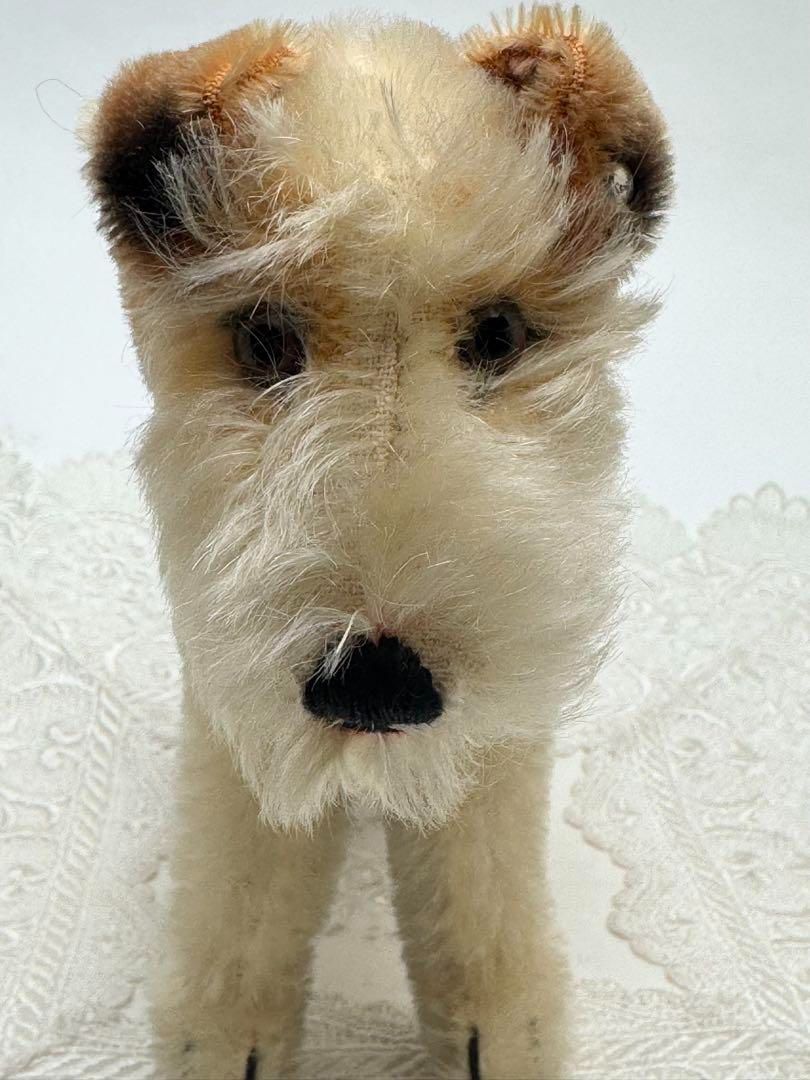 シュタイフ Foxy Foxterrier 17cm フォックステリアフォクシー 犬 ビンテージ アンティーク Steiff STEIFF