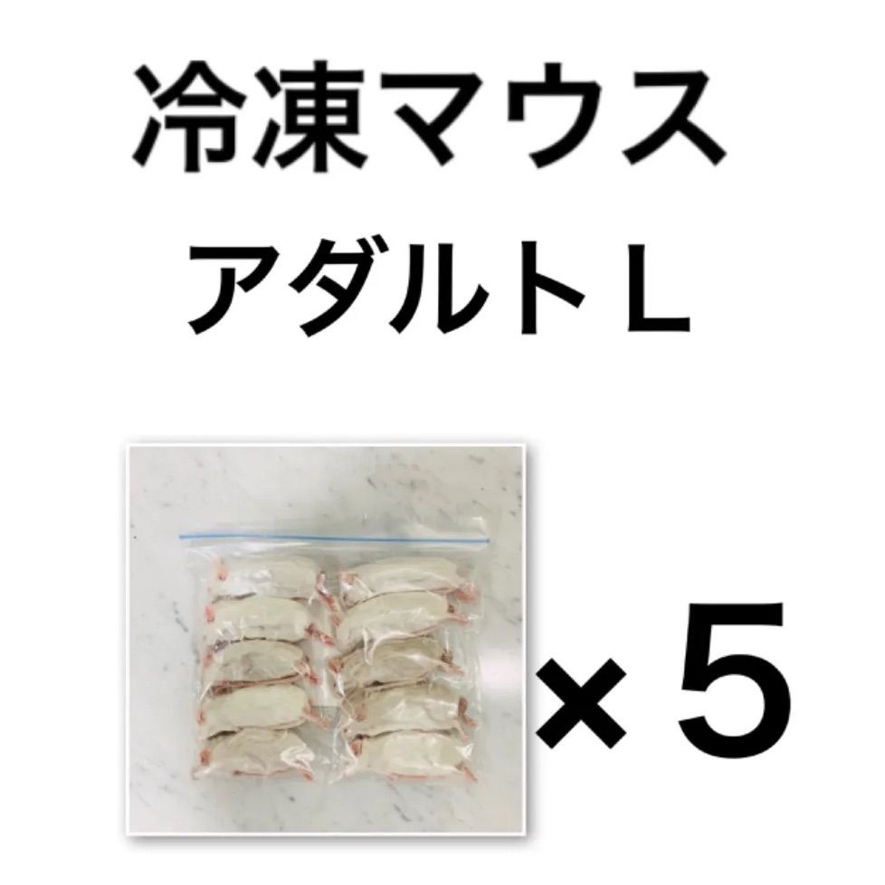 冷凍マウス アダルトＬ…５袋
