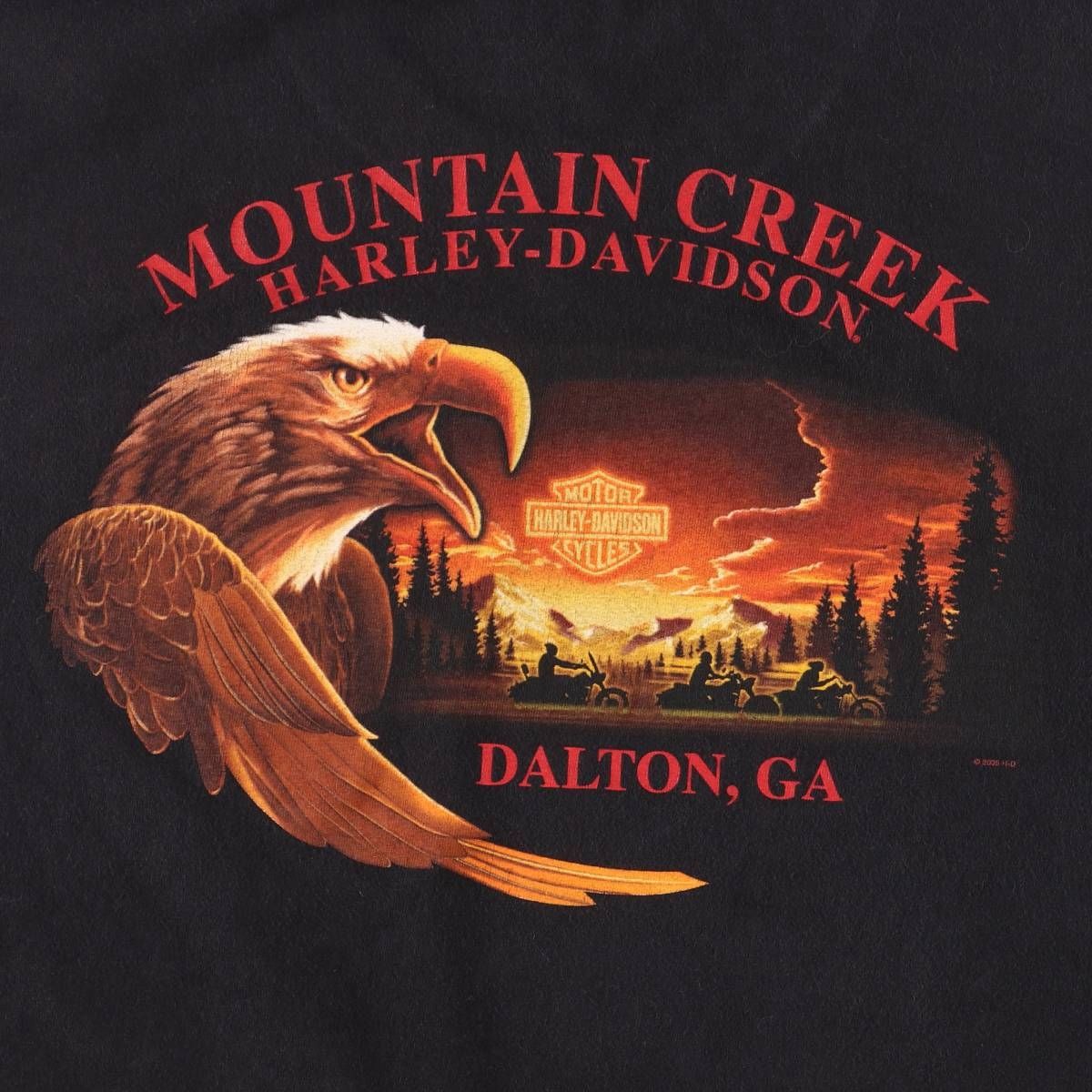 バイクTシャツ メンズXXL相当