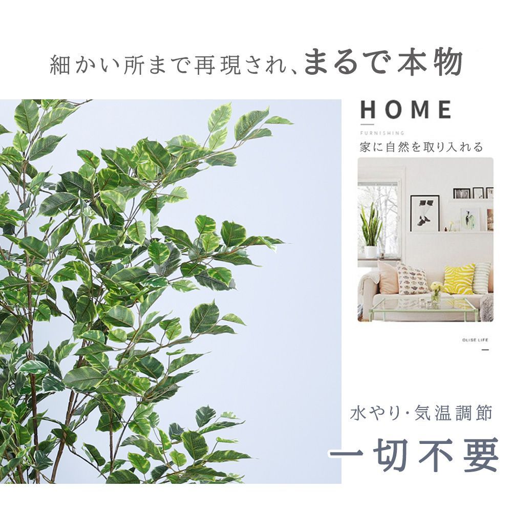 観葉植物 リアル