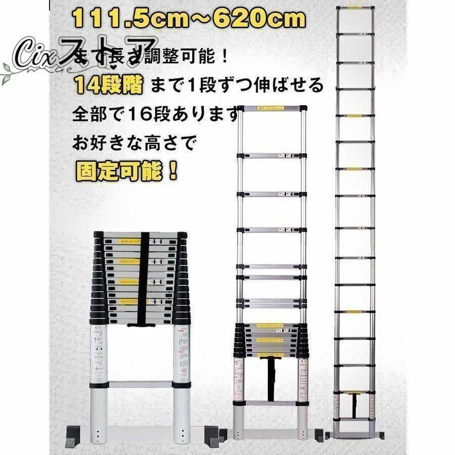 ハシゴ
