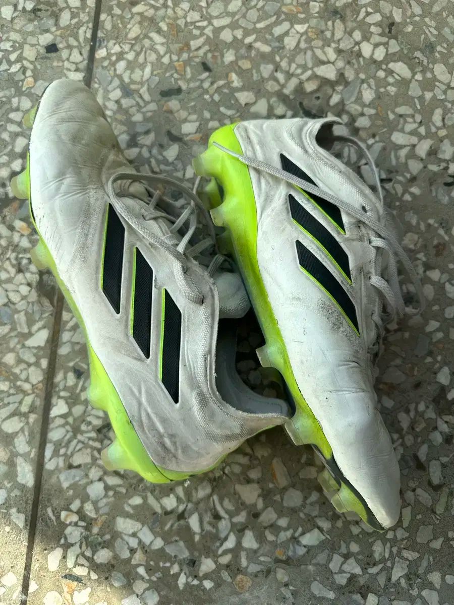 adidas(アディダス) サッカーシューズ コパ 270 275 サイズ