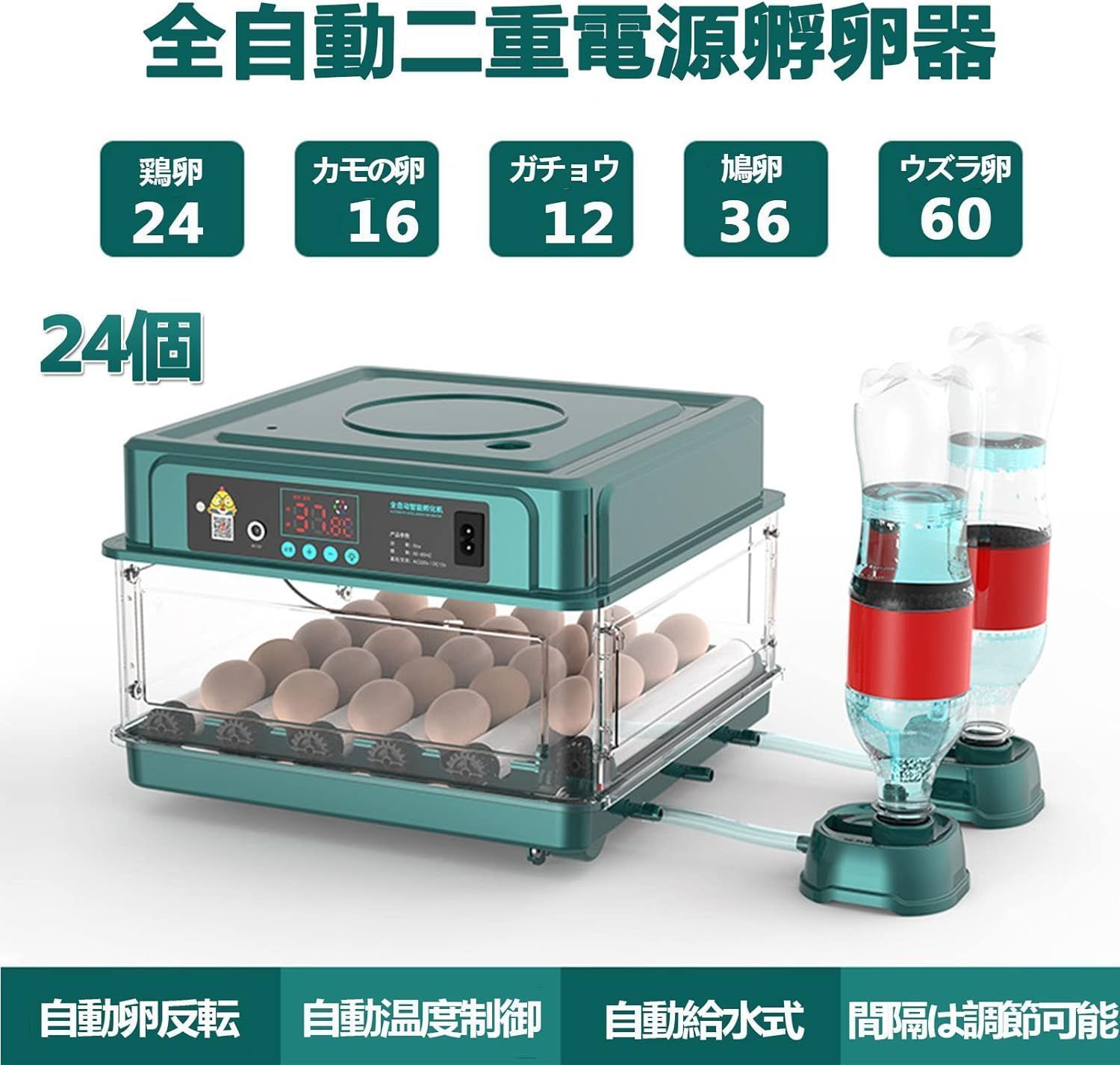 自動孵卵器 孵卵機