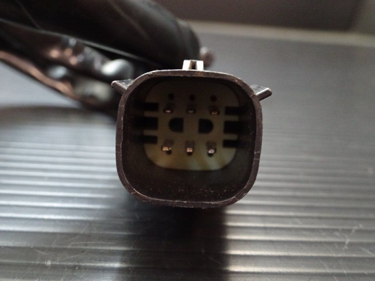 スポーツスター