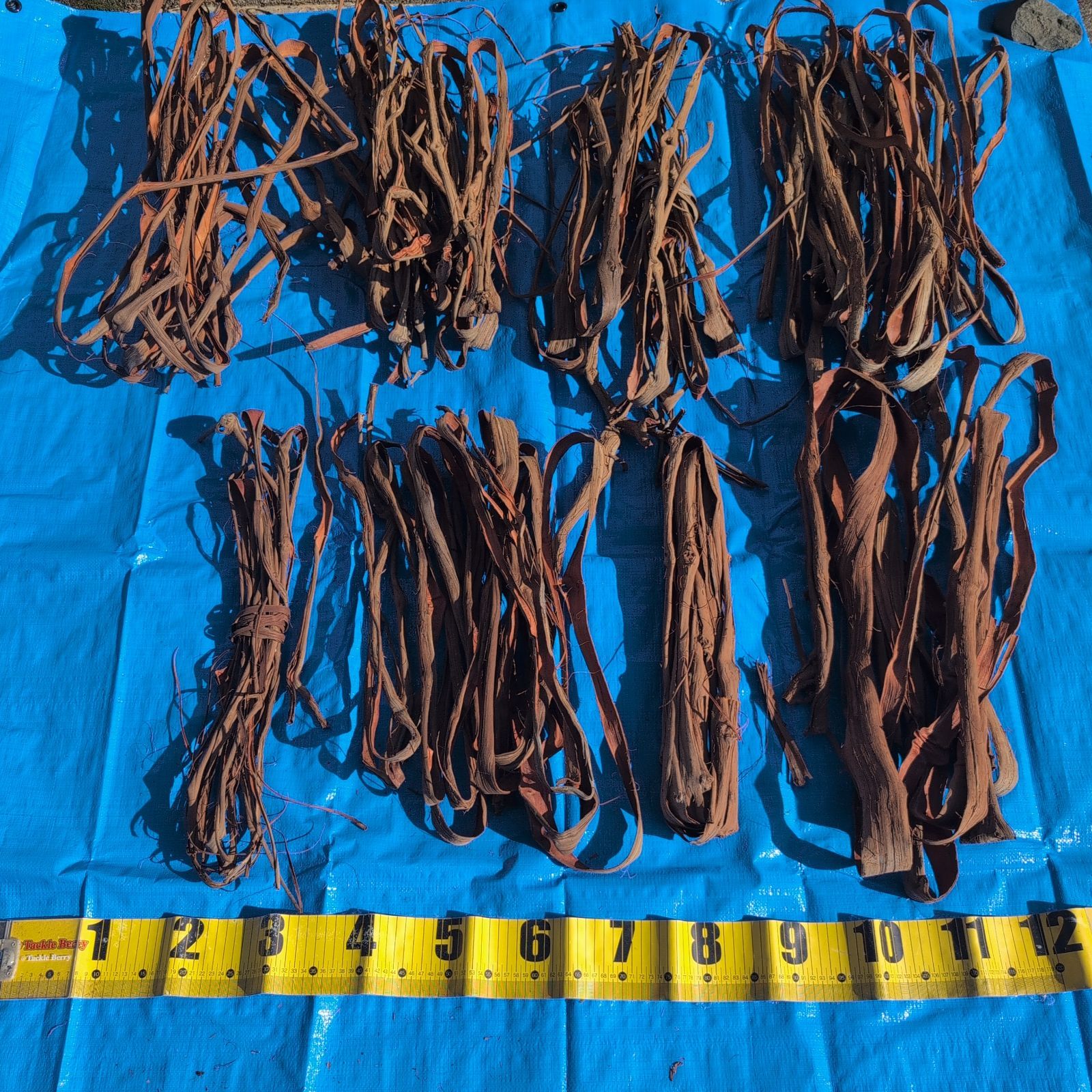 天然山葡萄の蔓1 採集状態で保存2.5キロ 令和4年採取