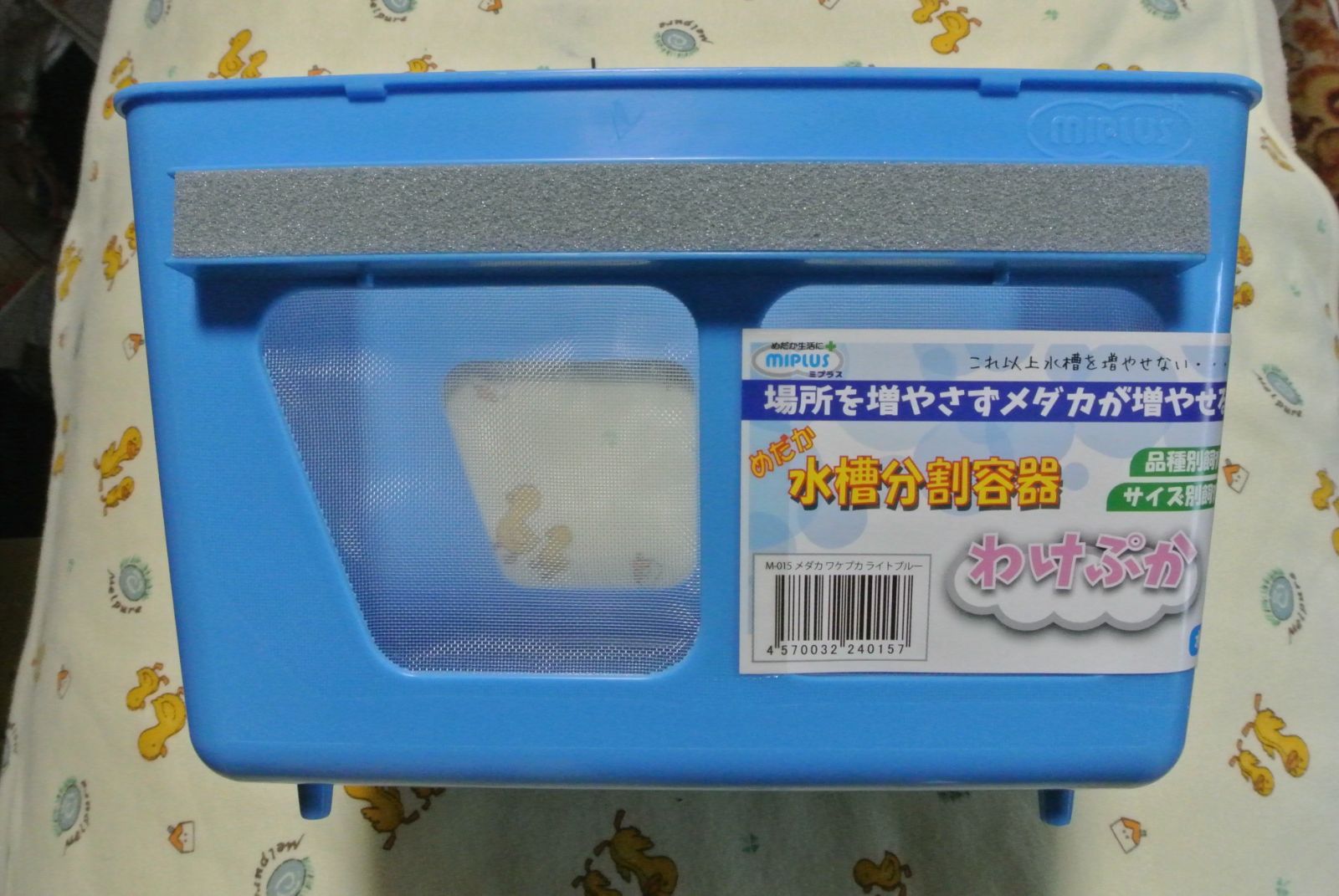 水槽分割容器