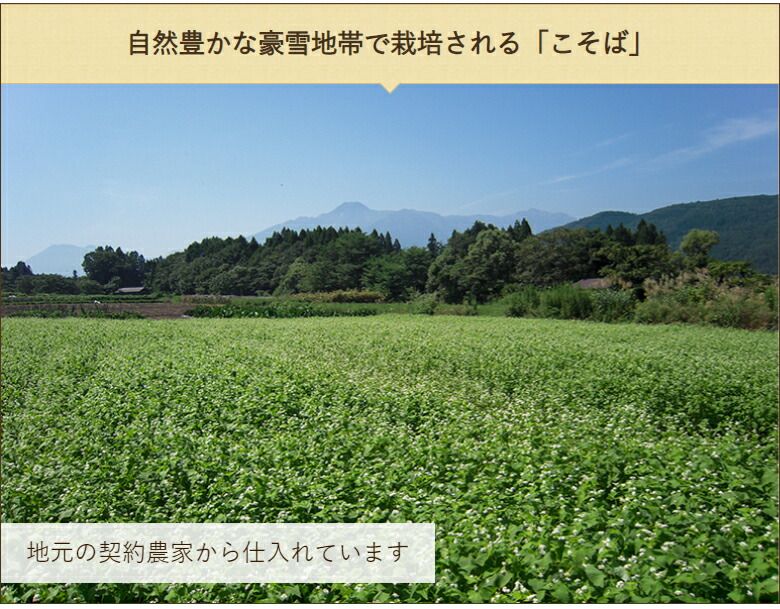 妙高こそば 幻の在来種そば