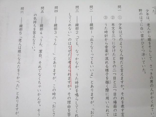 SAPIX サピックス SS特訓 開成対策プリント 01〜14 国語 計14回分セット 2024 024S2D SAPIX サピックス SS特訓 開成対策プリント 01～14 国語 計14