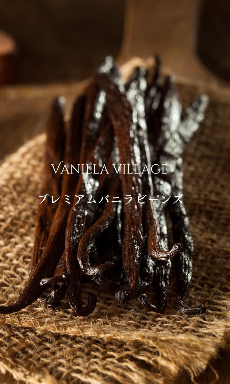 タヒチ種バニラビーンズ 500g 通常グレード 135cm以上
