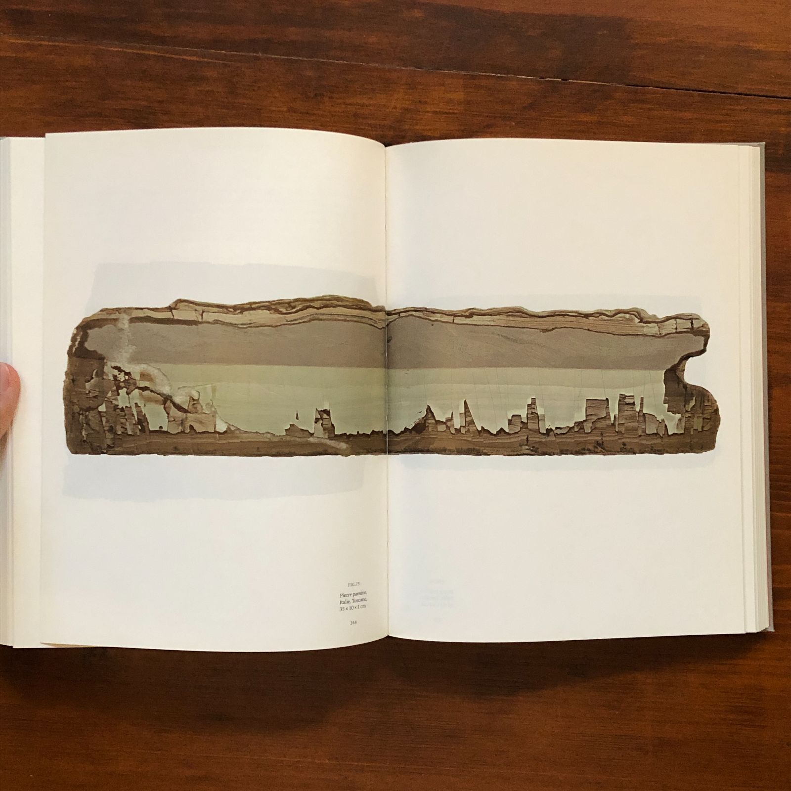 ロジェ・カイヨワ 作品集 ROGER CAILLOIS: LA LECTURE DES PIERRES 