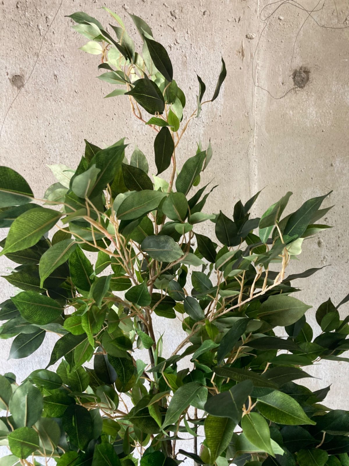 光触媒　人工観葉植物　ウォールグリーン　フェイクグリーン　ベンジャミンフィカスv 光触媒 人工観葉植物 ウォールグリーン フェイク ベンジャミンフィカス