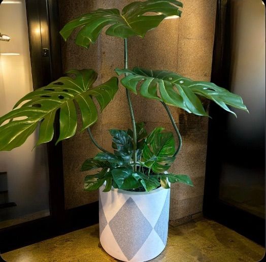 光触媒 人工観葉植物 ウォールグリーン フェイクグリーン バリ風 光触媒 人工観葉植物 ウォールグリーン フェイクグリーン バリ風