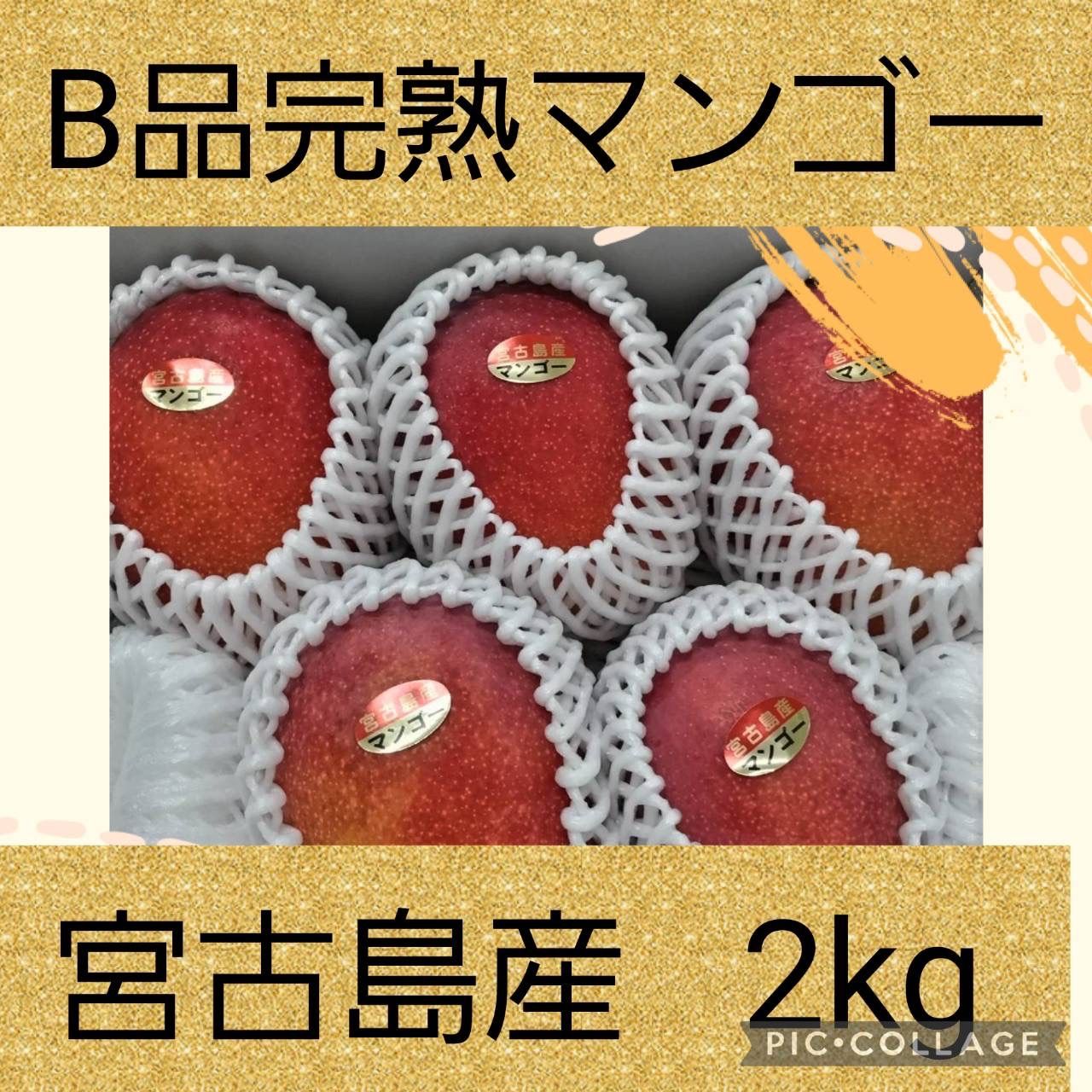 B品完熟マンゴー2kg み 事前予約 7月から発送予定