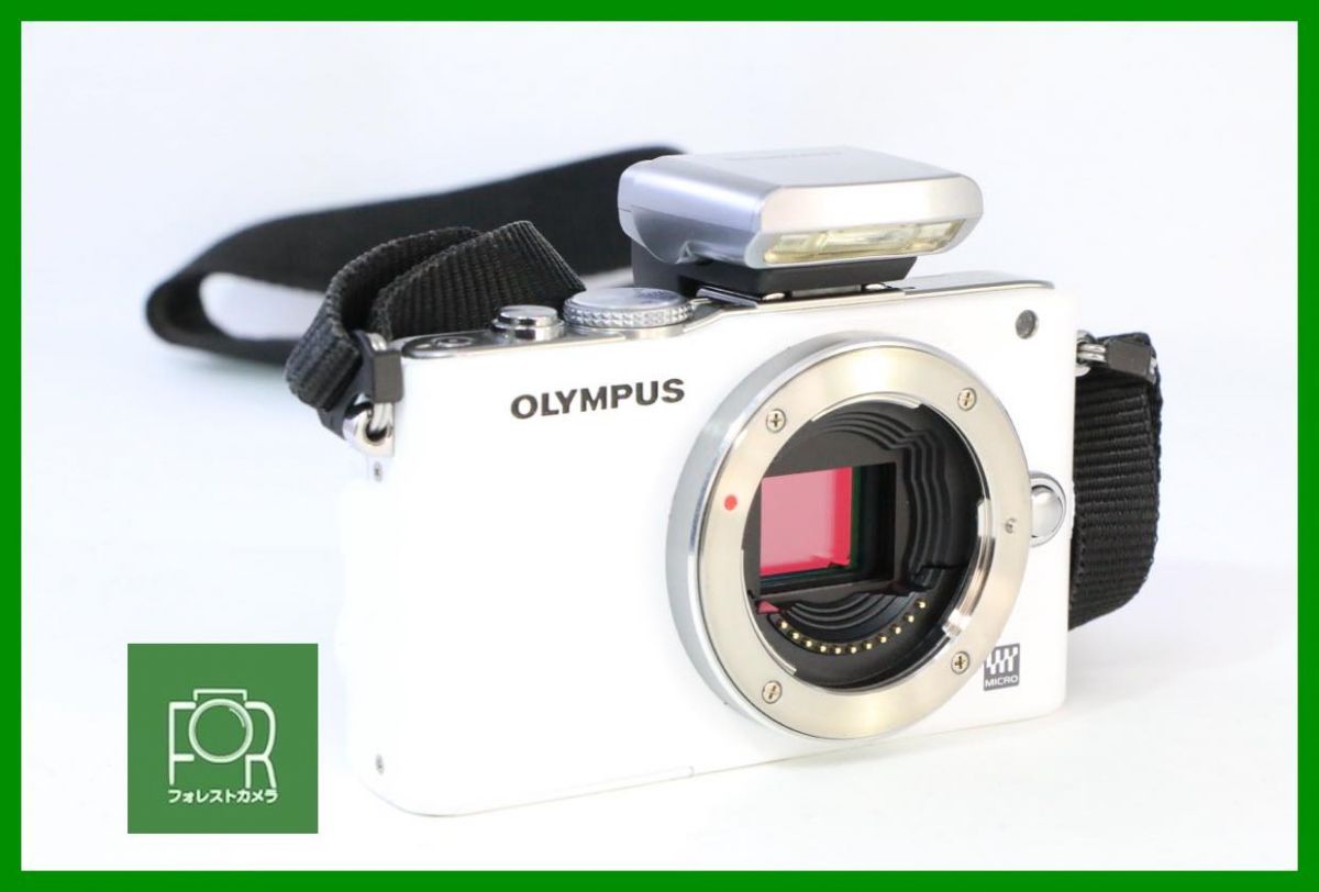 OLYMPUS PEN E-PL9 ダブルズームキットセット 訳あり OLYMPUS PEN E