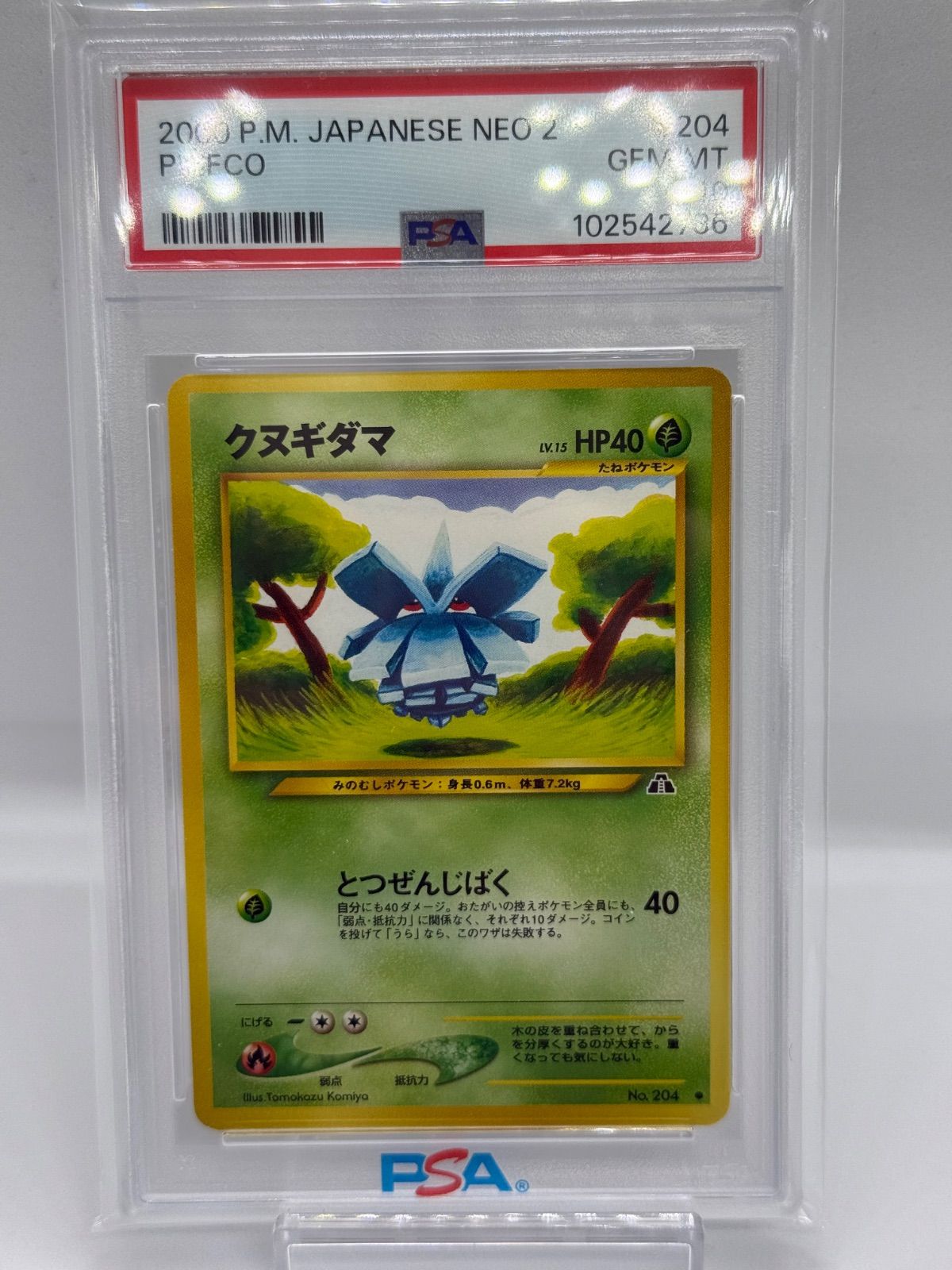 【PSA10】ポケモンカード　旧裏　クヌギダマ　neo ポケモン クヌギダマ psa10 旧裏 - メルカリ
