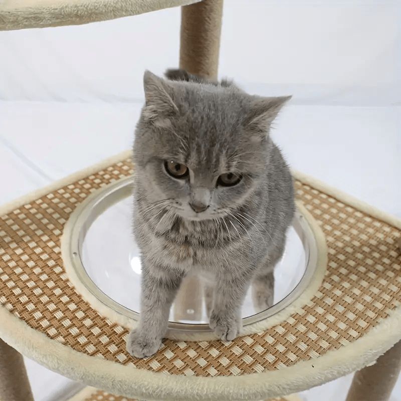 安全 かわいい
