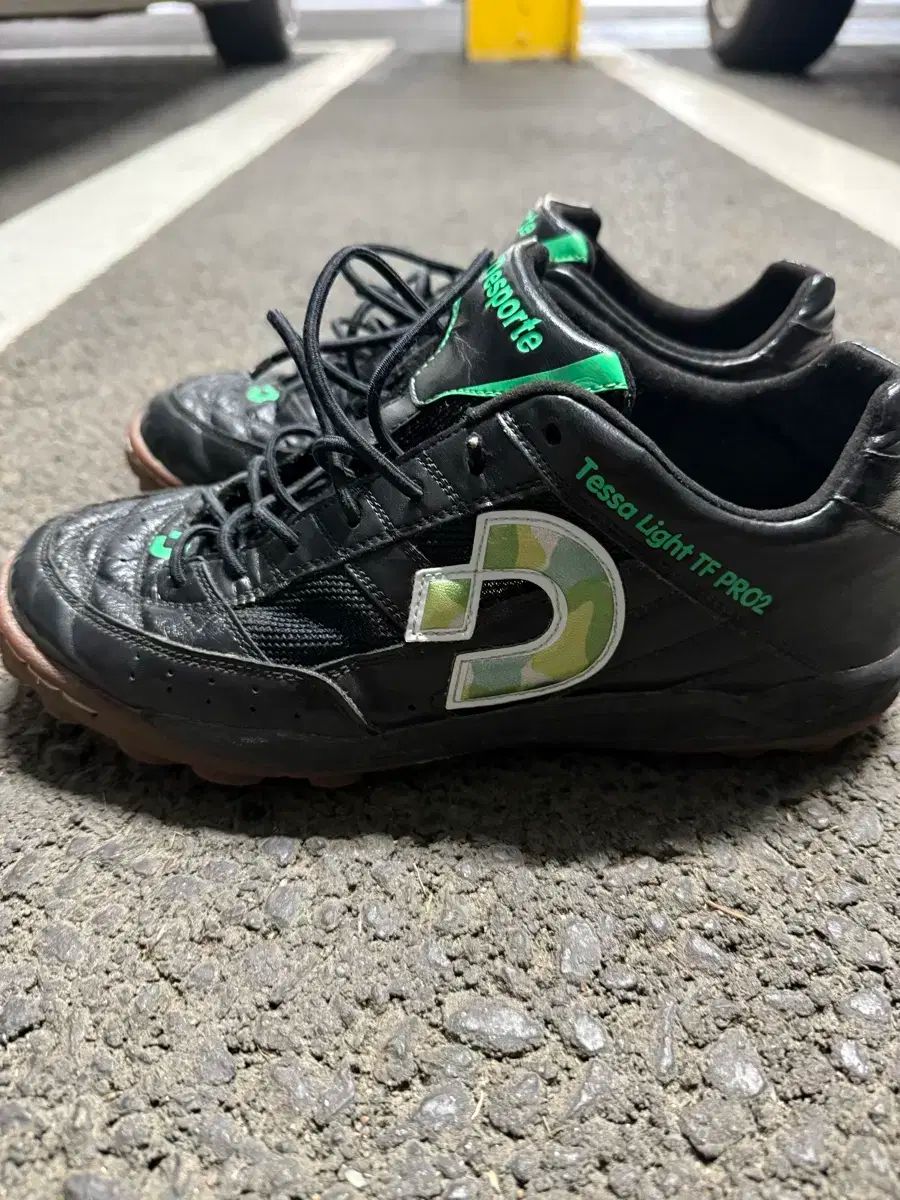Desporte