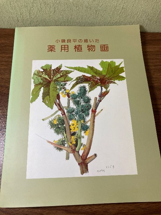 小磯良平の描いた薬用植物画　[図録]　 神戸市立小磯記念美術館 神戸市立小磯記念美術館　編　