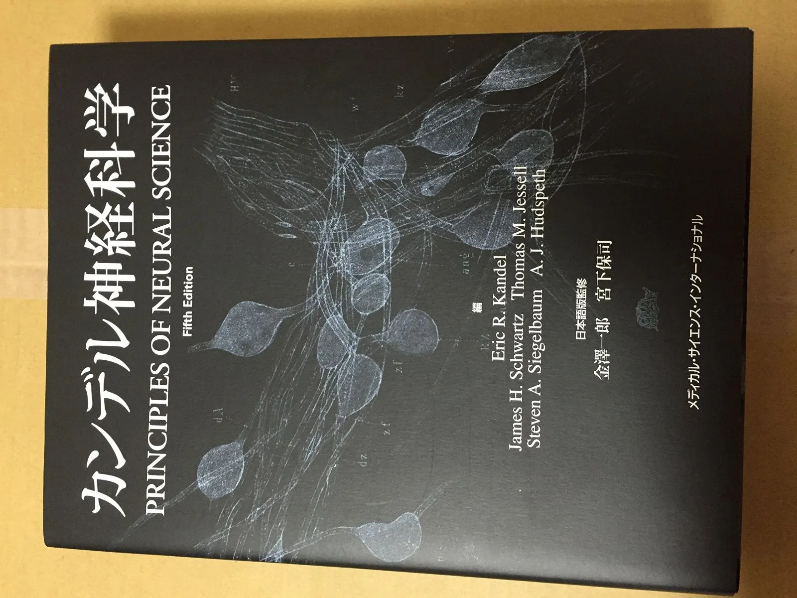 【期間限定値下げ・送料込】カンデル神経科学 bk4815730555.jpg