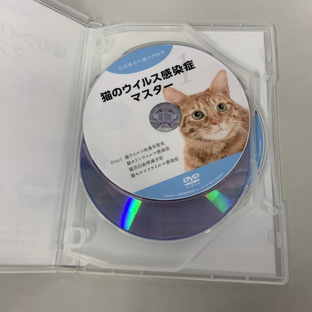 猫のウイルス感染症マスター　獣医学　DVD 猫のウイルス感染症マスター獣医学DVD