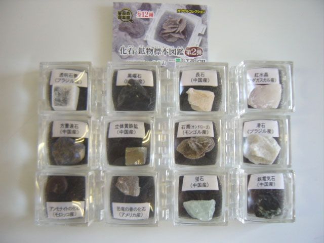 ♯Gzi10Fe好奇心倶楽部化石 鉱物標本図鑑2全12種 ガシャポン