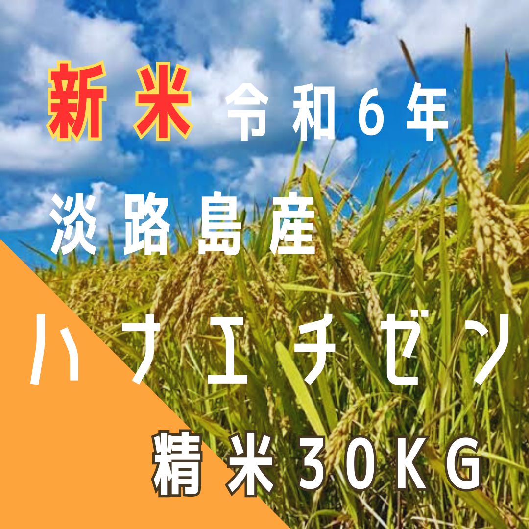 新米 令和3年産 ハナエチゼン 玄米30キロ 淡路島産 精米小分け可 30kg - 米