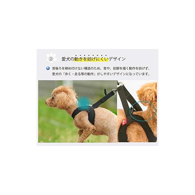 Mサイズ 犬