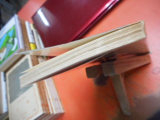 古本］人間マルクス その愛の生涯 岩波新書790＊ピエール