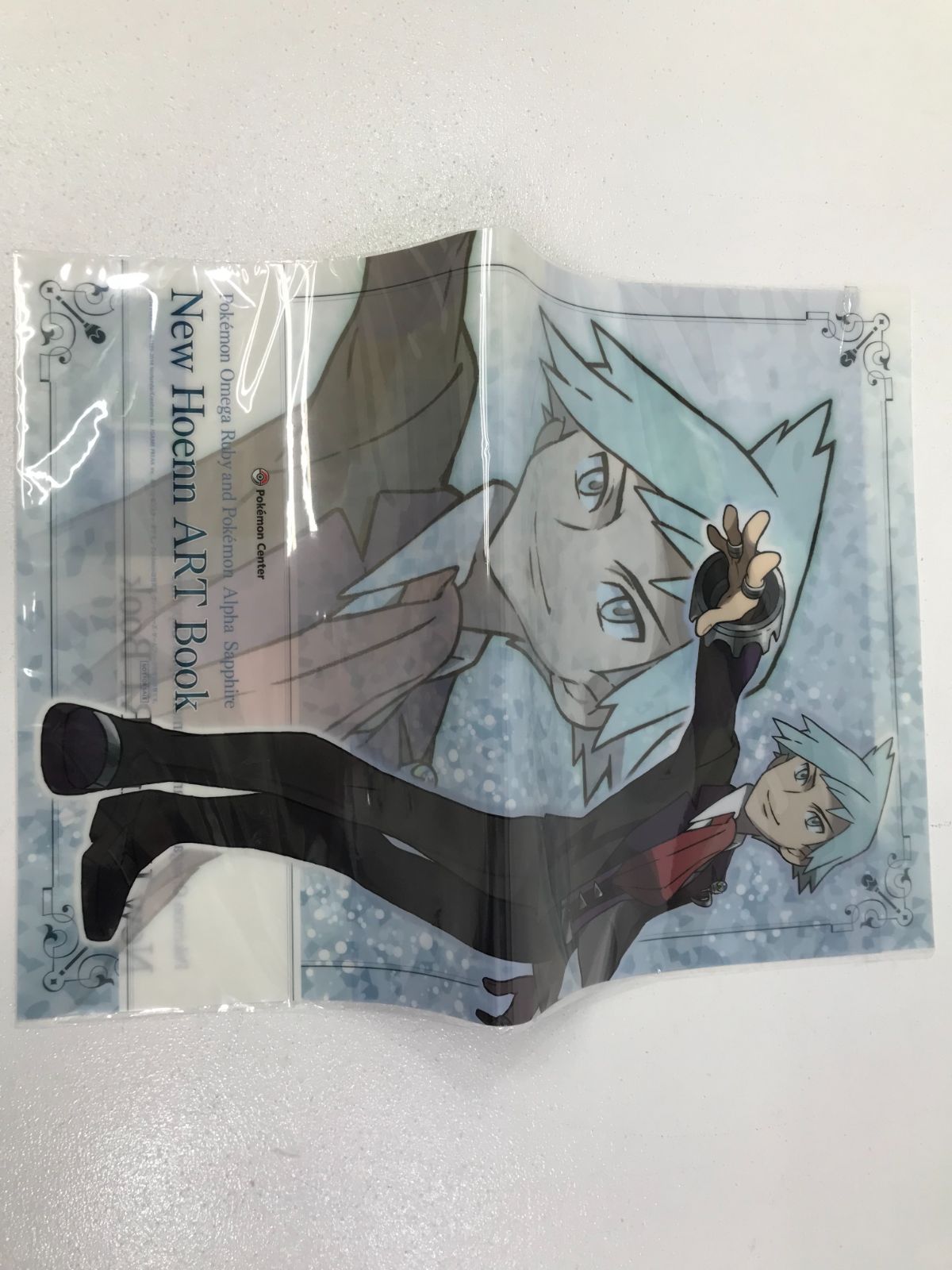 小牧店】ポケモン New Hoenn ART Book 【712-0384】 - メルカリ