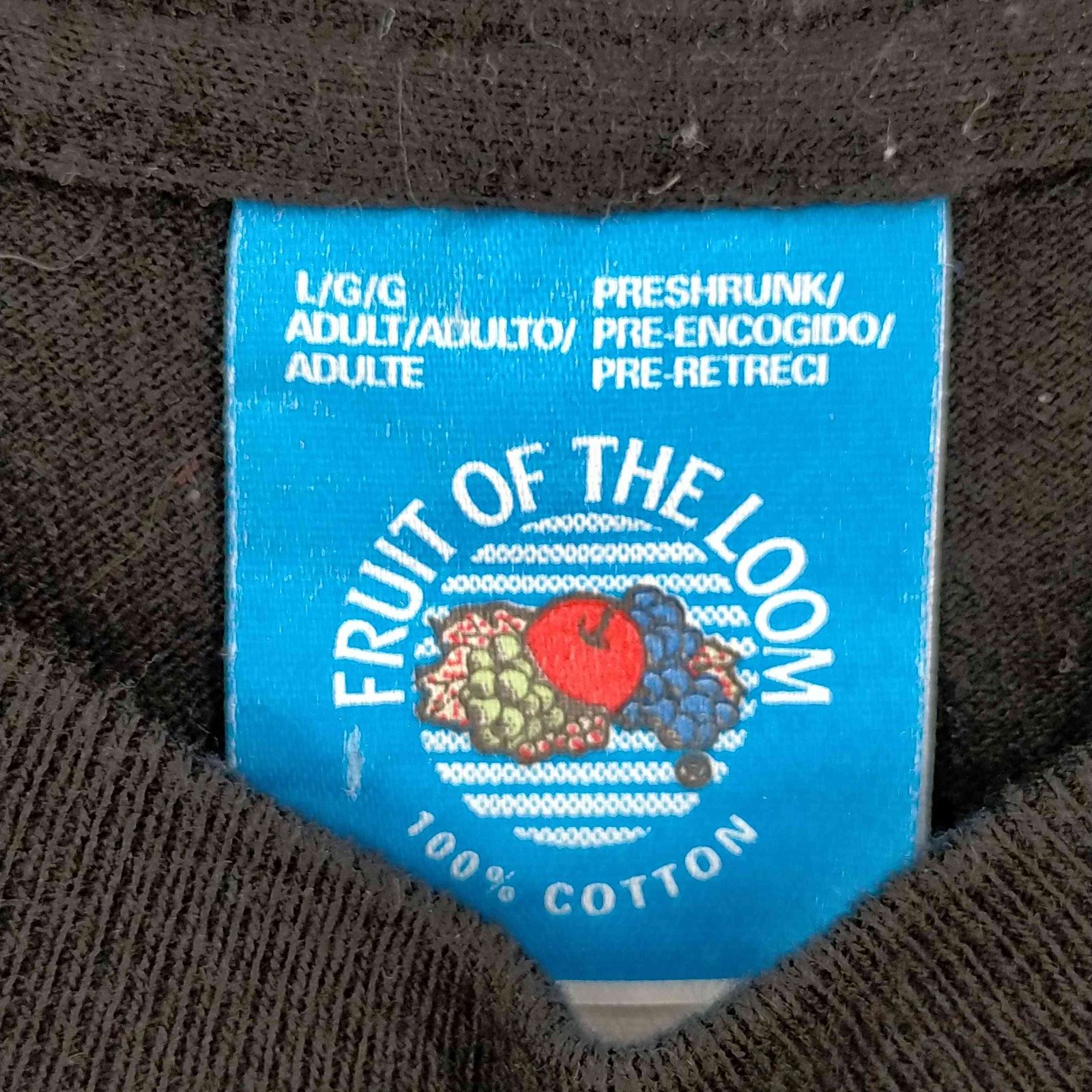 フルーツオブザルーム FRUIT OF THE LOOM 90S USA製 青タグ 1996© THE 