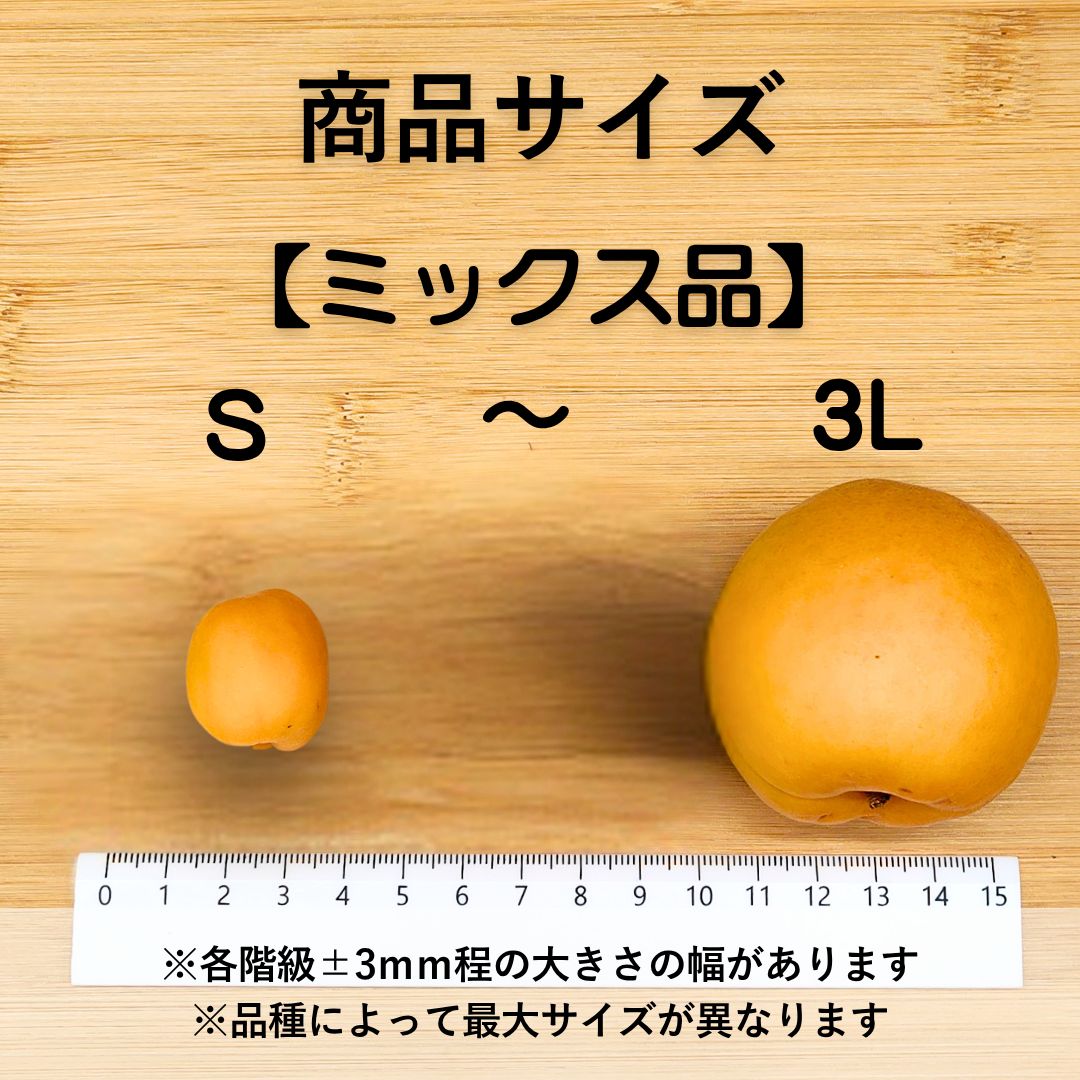 あんず様専用 きぬひかり 精米 20kg