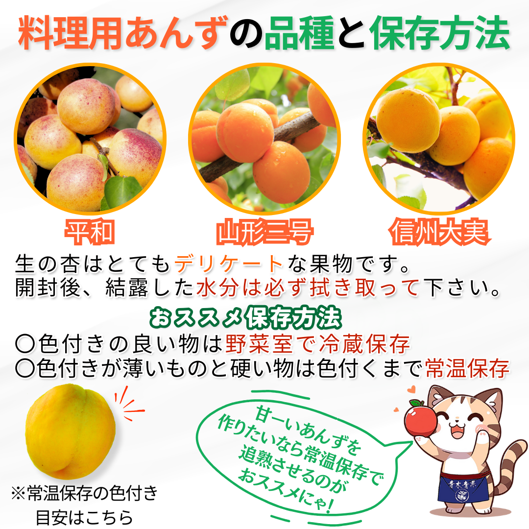 小玉あんず～杏シロップ・杏酒用～【内容量】約1.8kg【配送方法】クール配送【サイズ】L以下【品目】杏（あんず）【品種】当店お任せ【産地】長野県【規格】ご家庭用A品B品混合【詰め方】バラ詰め【配送までの日数】1～4日