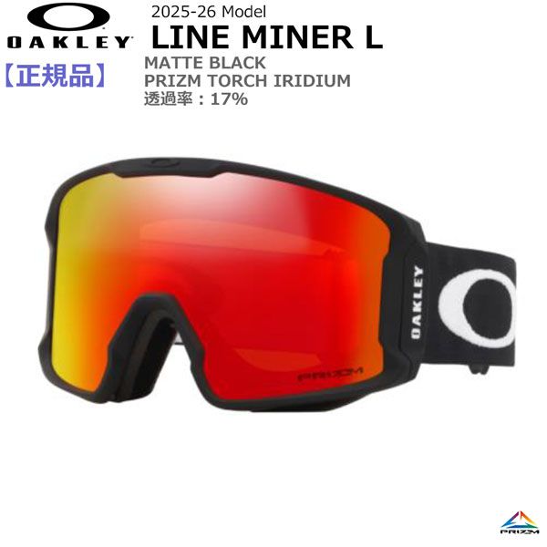 DICE BANK ダイス バンク ゴーグル 22-23モデル DICE SNOWBOARD GOGGLES