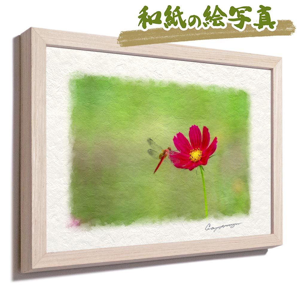 和紙の絵写真 「赤とんぼと緑の中のコスモス」 平面額縁付き 32x23cm 絵画 インテリア 玄関 風水 風景画 アート パネル ポスター おしゃれ 新築祝い 絵 壁掛け 和モダン 和風 ジャパンディ秋 紫 花の絵