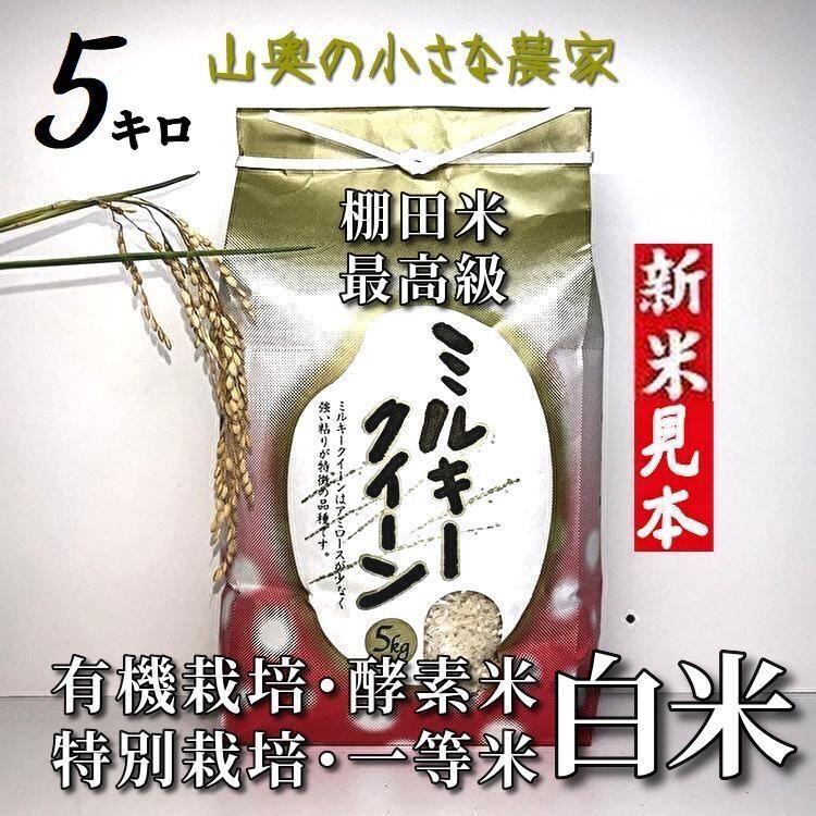 新米【超希少】ミルキークイーン 酵素米 お米 玄米20ｋｇ「標準白米に