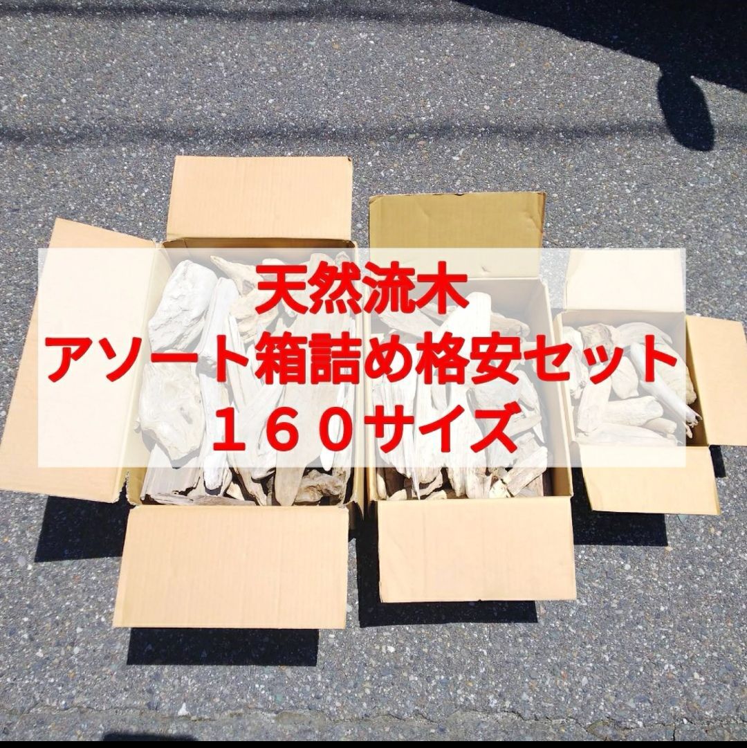 最大お得サイズ】【送料無料】国産 南信州産 天然流木○おまかせ 