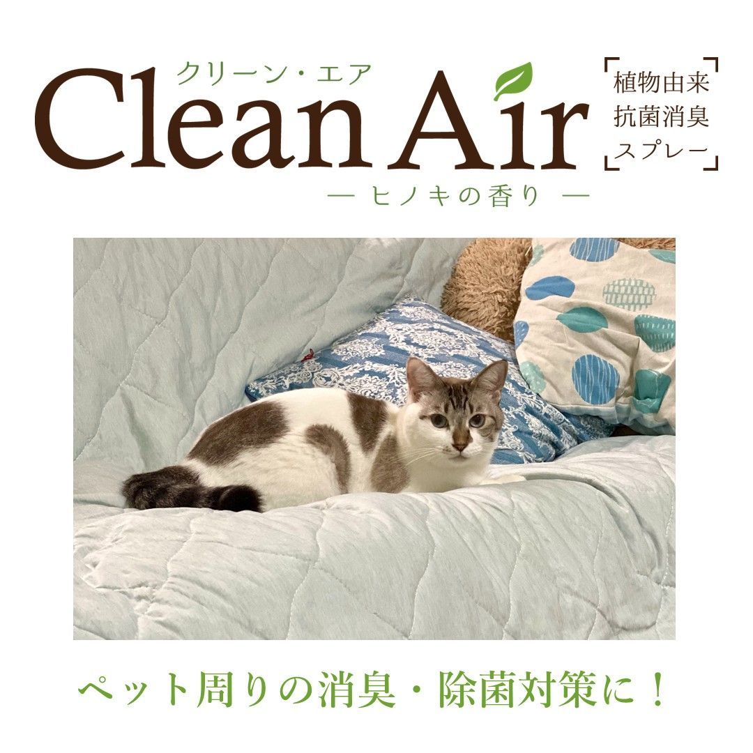100ml 6本入