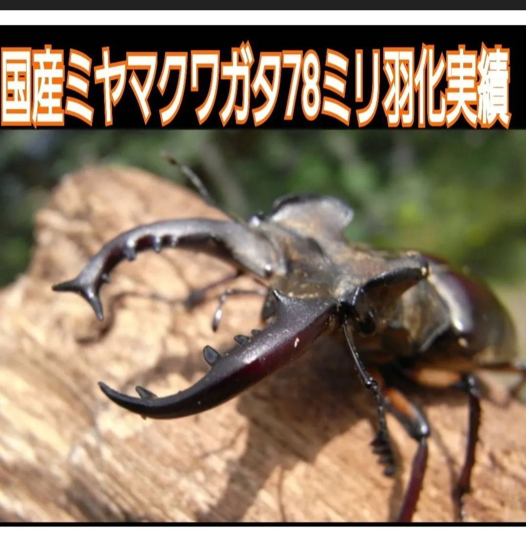 たっぷり300リットル