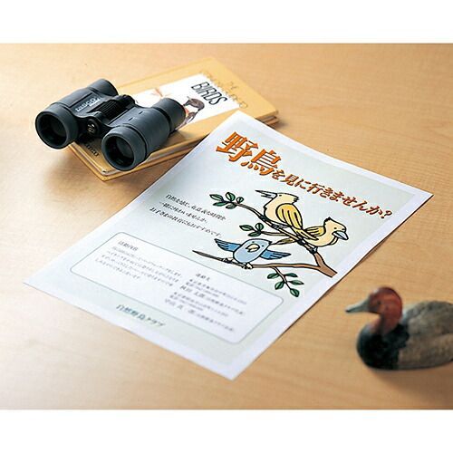 LBPFG1210 ×10セット