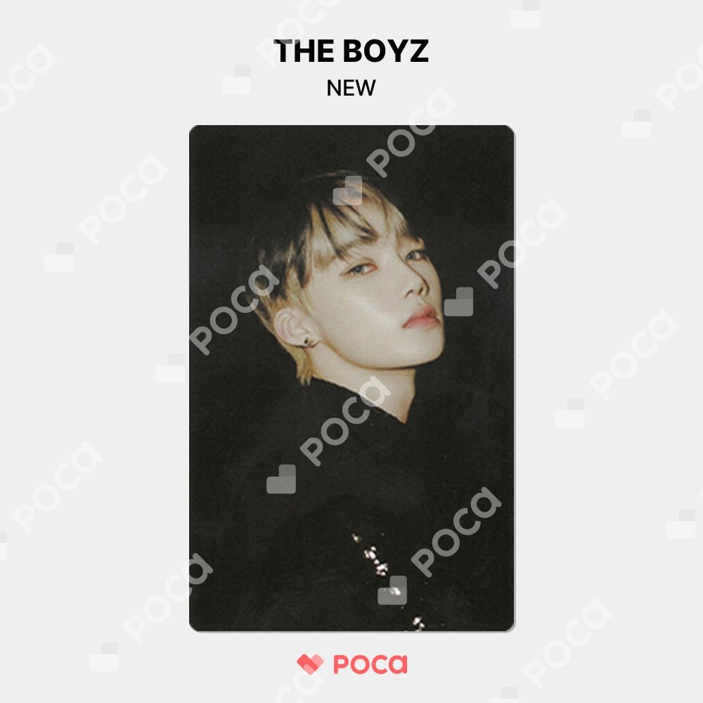 THEBOYZ ドボイズ チャニ ニュー new ラキドロ トレカ THEBOYZ ドボイズ ドボ NEW ニュー チャニ シュシュ ミニドール